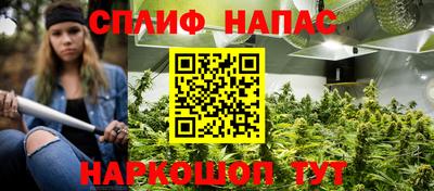 дживик Сланцы