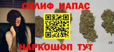 спиды Славянск-на-Кубани