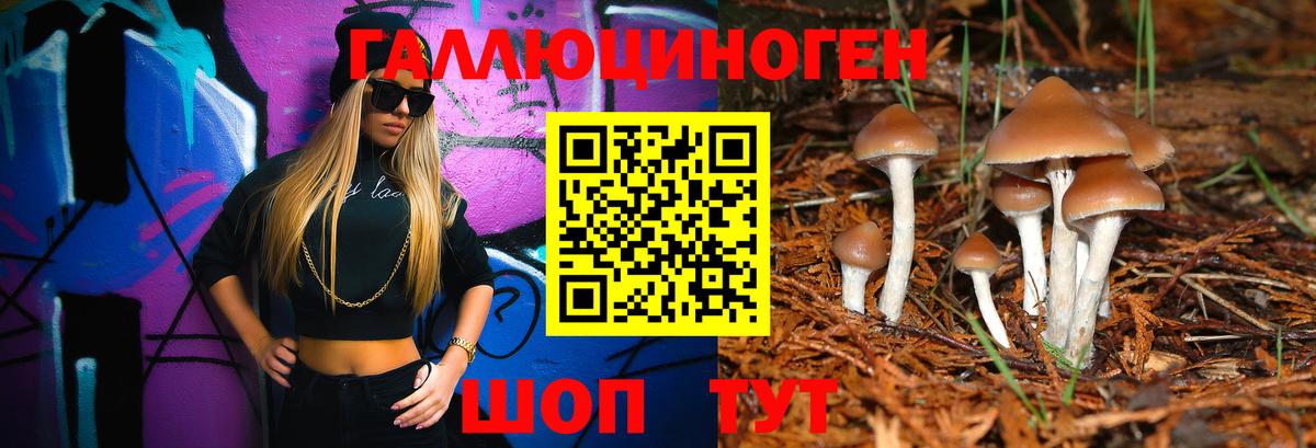 Галлюциногенные грибы MAGIC MUSHROOMS  Вход с VPN  Прокопьевск 