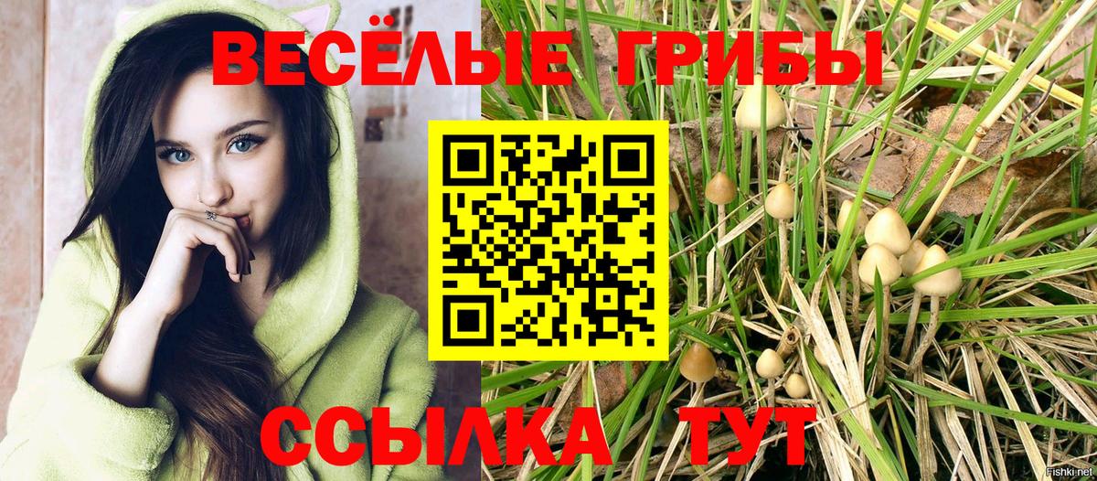 МЕТАМФЕТАМИН  ГАШИШ  COCAIN  Меф МЯУ МЯУ кристаллы  Вход с VPN  Марихуана  Прокопьевск  MDMA 